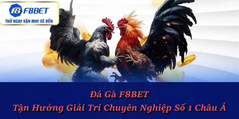 Đá gà f8bet – Sân chơi trực tuyến nảy lửa, kịch tính