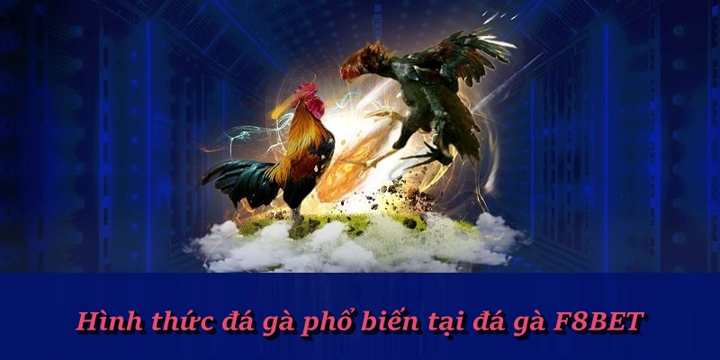 Bật mí cẩm nang đá gà chinh phục trang chủ F8bet