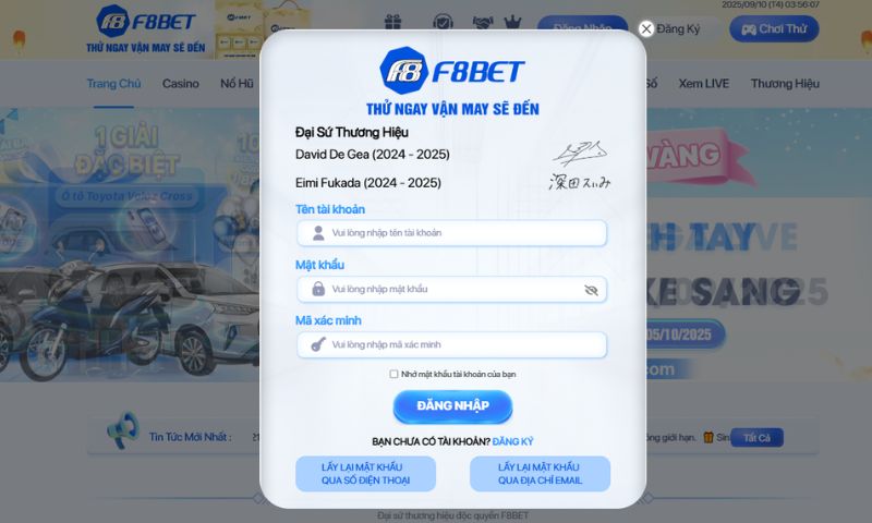 Hướng dẫn người chơi xử lý sự cố đăng nhập