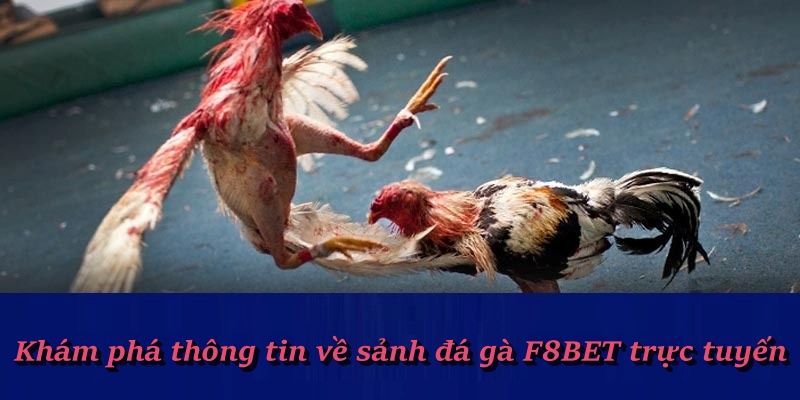 Top 4 hình thức đá gà F88bet gây bão thị trường